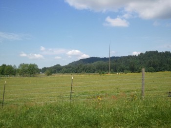 WP_000238