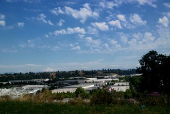 WP_000390