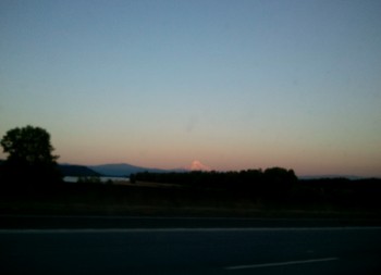 WP_000404