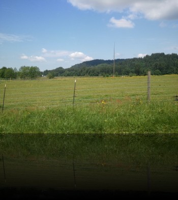 WP_000238
